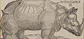 Mostra Albrecht Dürer. La collezione Remondini Bassano